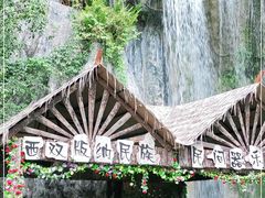 -西双版纳原始森林公园