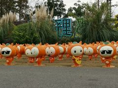 -上海长兴岛郊野公园