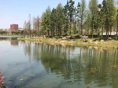-羊山湖公园