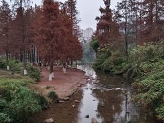 -重庆彩云湖湿地公园