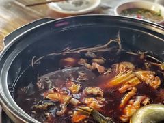 -金海椒罐罐鲢鱼(东方桂苑店)