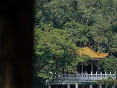-深圳仙湖植物园