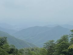 -莫干山风景区
