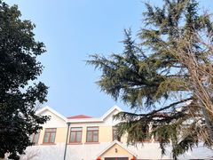 -八大关景区