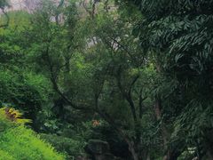 -广州兰圃