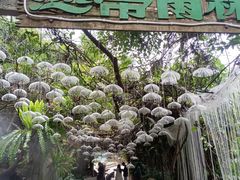 -青青世界