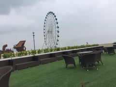 -秦皇岛乐岛海洋王国