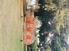 -万绿园