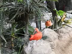 -海合安武汉极地海洋公园