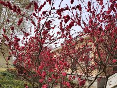 -河南省黄河迎宾馆