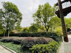 -夫子庙秦淮河画舫