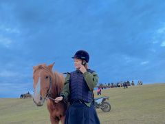-额尔古纳黑山头绿野马帮骑马场