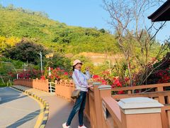 -小南山公园
