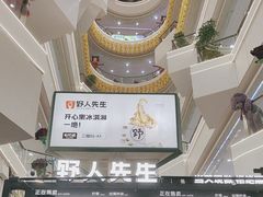 -野人先生Gelato(上海长宁龙之梦店)