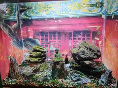 -常州海昌海洋探索馆