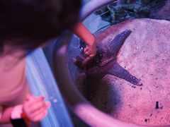-暹罗海洋世界