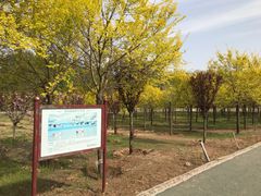 -淇河国家湿地公园