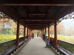 -重庆彩云湖湿地公园
