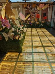 -中国黄金(北京旗舰店)