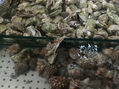 -一号码头蒸汽海鲜自助