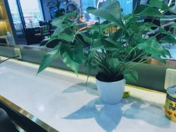 -木北造型