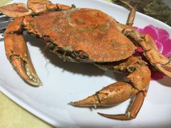 -蚝乡农庄(铁涌赤岸店)