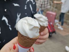 -富豪雪糕车流动点(尖沙咀店)