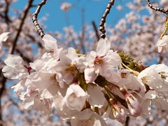 -龙美术馆(西岸馆)