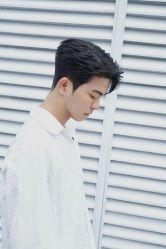 -FINE HAIR 烫染专业设计