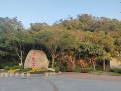 -野狸岛