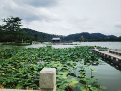 -顺峰山公园