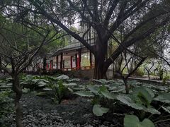 -金鸡山公园