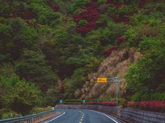 -四明山国家森林公园