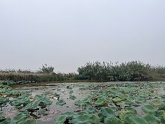 -宁波杭州湾国家湿地公园