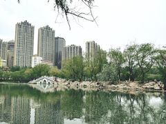 -青城公园