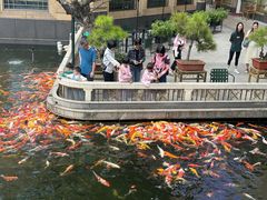 -番禺宾馆丽苑厅