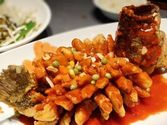 特色松鼠鱼（苏州招牌菜）-姑苏家宴·苏帮菜·松鼠桂鱼(苏州总店)