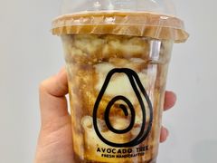 -油梨树AVOCADO TREE(顺义新国展店)
