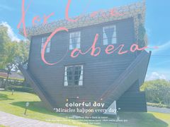 -金山农民画村-枫泾波兰倒置屋