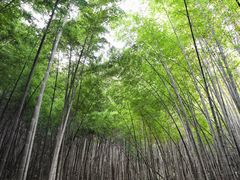 -敬亭山风景名胜区