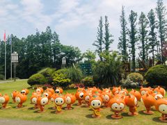 -上海长兴岛郊野公园