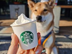 -星巴克(珠海仁恒滨海中心店)