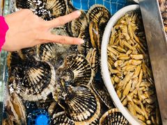 -喜来酌海鲜·饺子(和平一店)