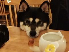 -柴の食堂·日式家庭料理·熊之肆(大学路店)