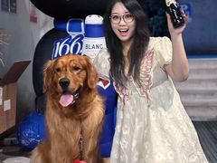 -當下 DangXia