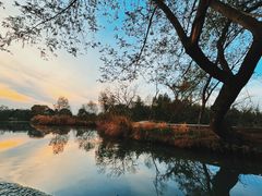 -西溪国家湿地公园