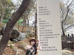 -沂蒙山旅游区云蒙景区(蒙山国家森林公园)