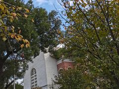 -长沙市青少年宫