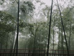 -莫干山风景区