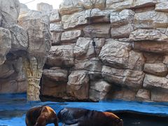 -华夏文旅海洋公园